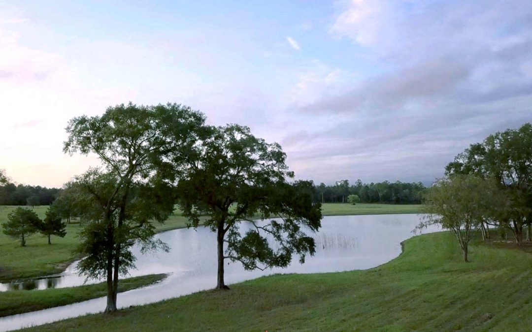 Patten Properties Announces the Next Great Acreage Community – Republic Grand Ranch