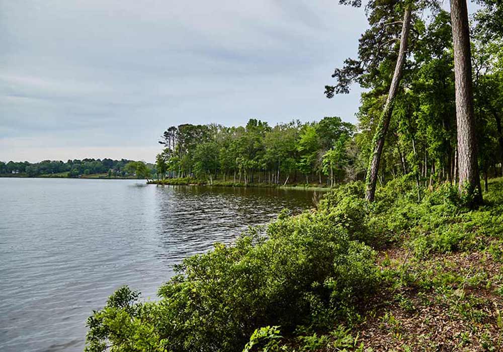 Legacy Shores on Lake Palestine