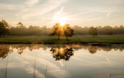 Patten Properties Continues to Accelerate Sales as Buyers Find their Freedom in Republic Grand Ranch