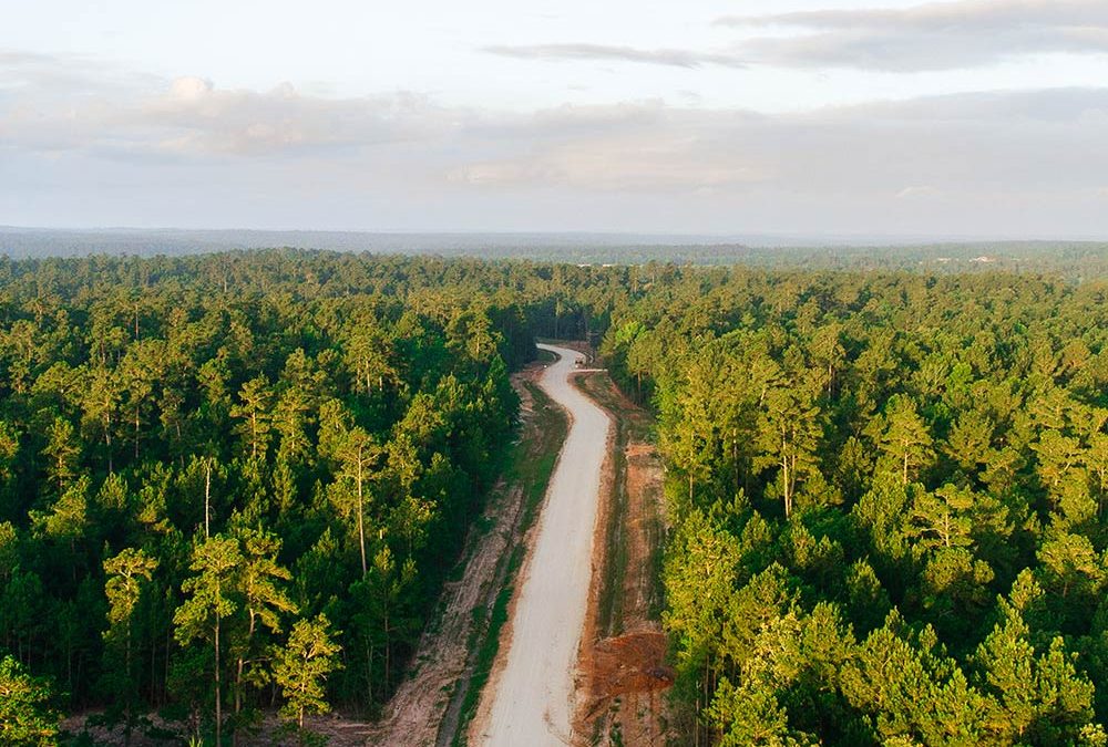 Patten Properties Announces Nature Inspired Acreage Community in Texas – The Estates of Texas Grand Ranch