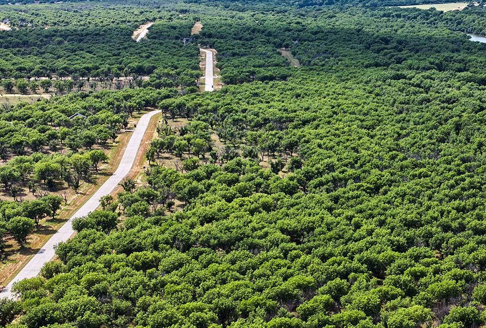 DFW Builder Event: New Release of Homesites at Pecan Plantation