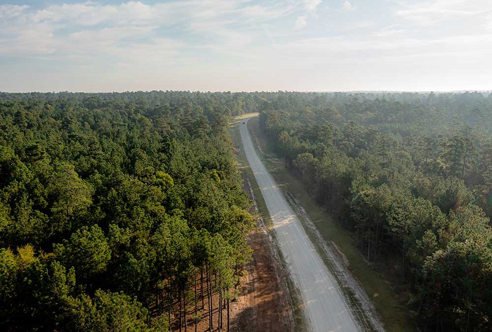 Growth in Texas Is Changing What Buyers Should Look for in Acreage Communities Near Houston