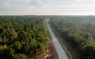 Growth in Texas Is Changing What Buyers Should Look for in Acreage Communities Near Houston