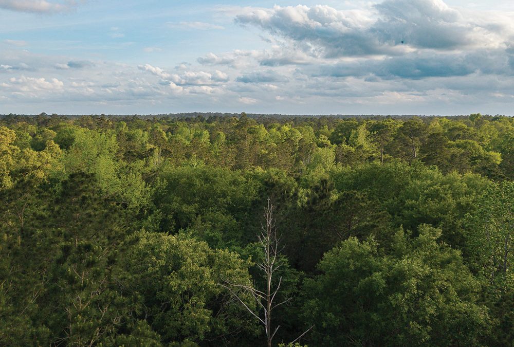 Legacy Grand Ranch Debuts in New Waverly: Estate Homesites Inside the Sam Houston National Forest Corridor