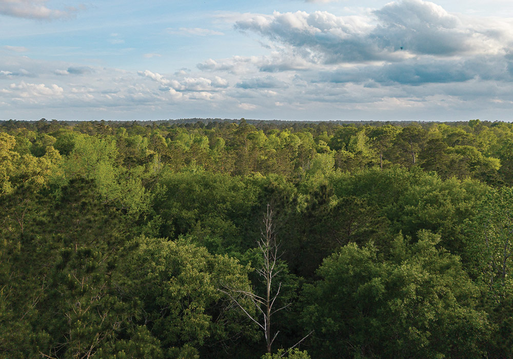 low density acreage development Texas