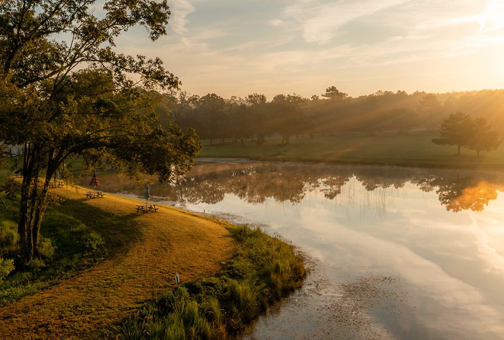 Why Buy Land in Texas? A 2026 Outlook for Acreage Buyers